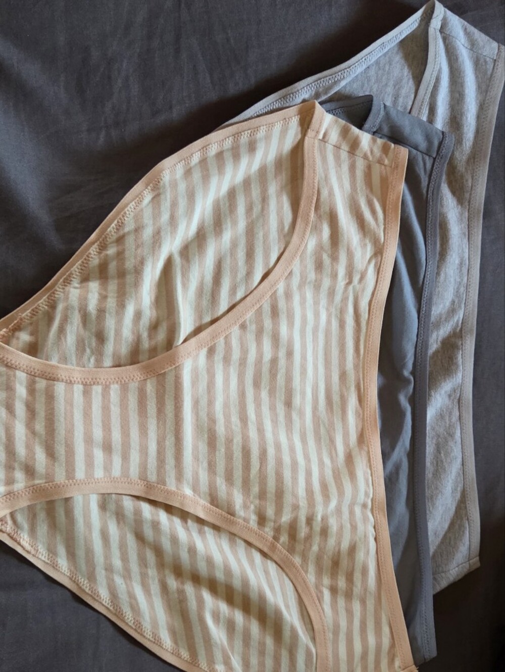 NWOT- Pact Organic-(3pxk) Cotton Bikini Brief